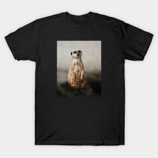 Meerkat in the Mist T-Shirt